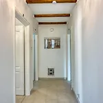 Galeb